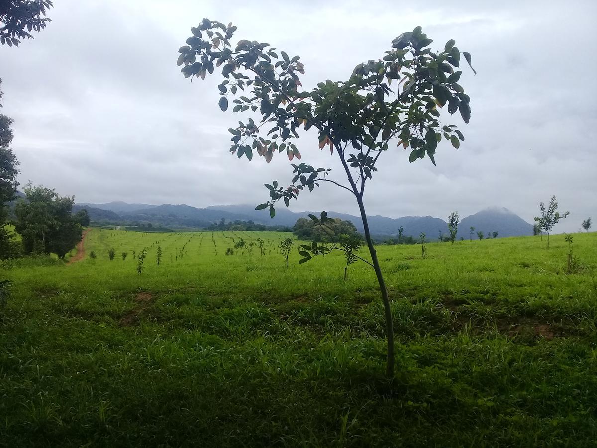 Baan Suan Jantra Home Stay Chiang Rai Exterior foto
