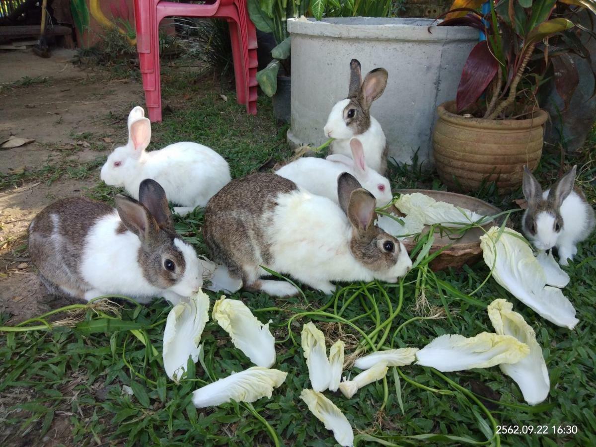 Baan Suan Jantra Home Stay Chiang Rai Exterior foto